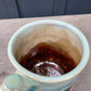 Indian Paintbrush Mug #5 14oz