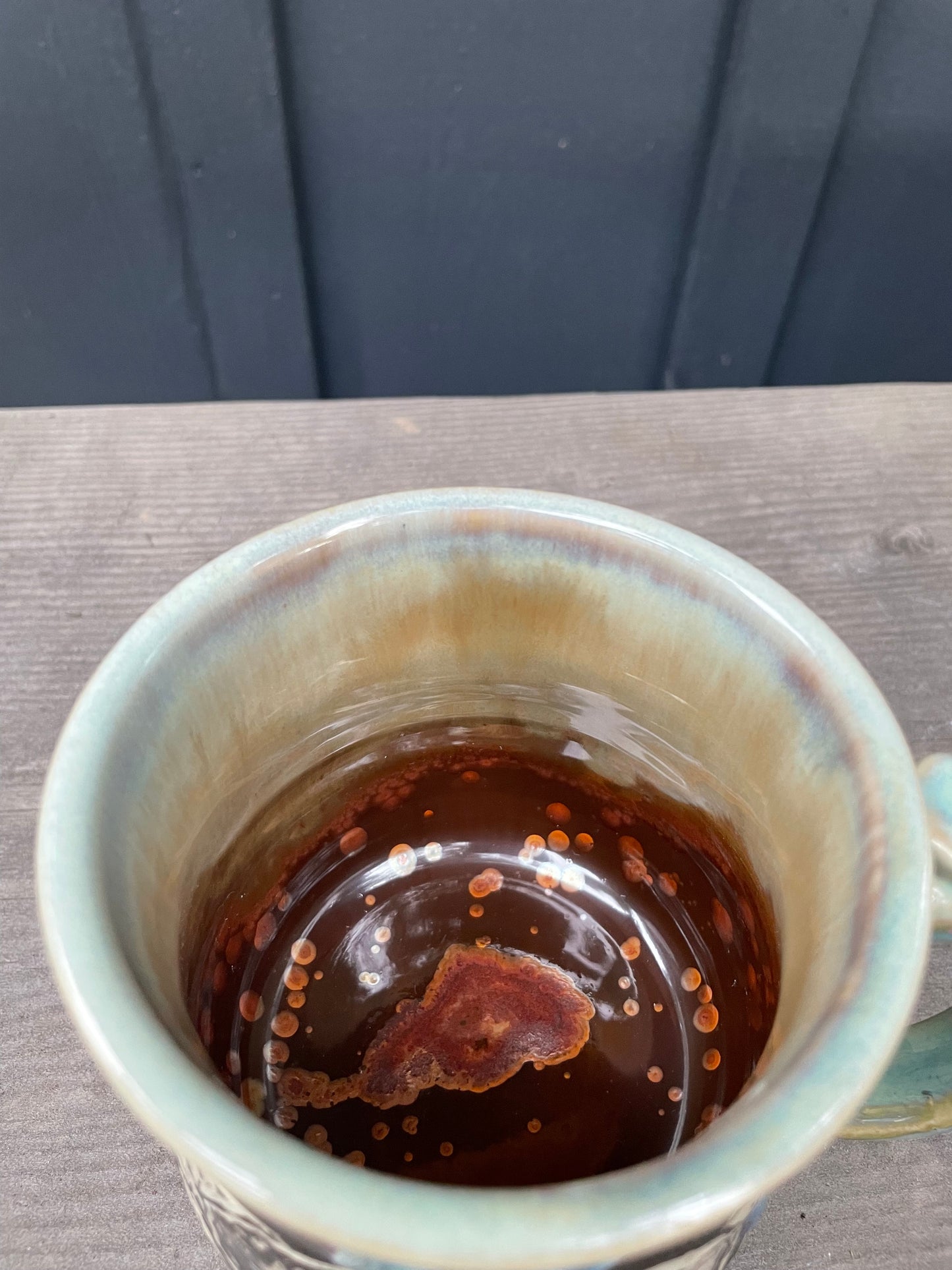 DISCOUNTED Bison 13oz Mug
